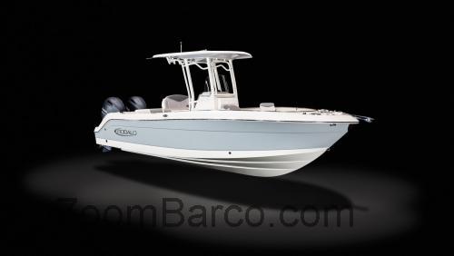 Robalo 242 ficha tecnica